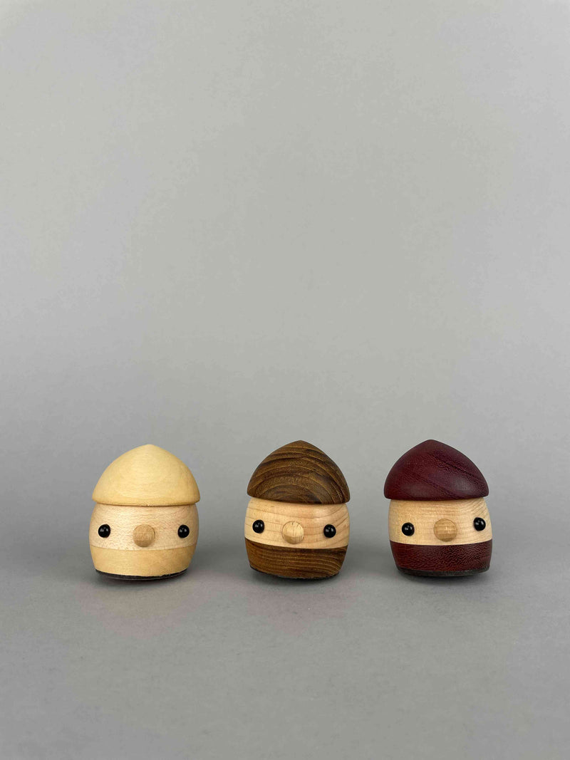 Three wooden acorn toy with eyes and mouths standing side by side. Wooden acorn toys ramp walker Teak, Shina and Purple Heart from Japan. Special limited edition Natural wood 