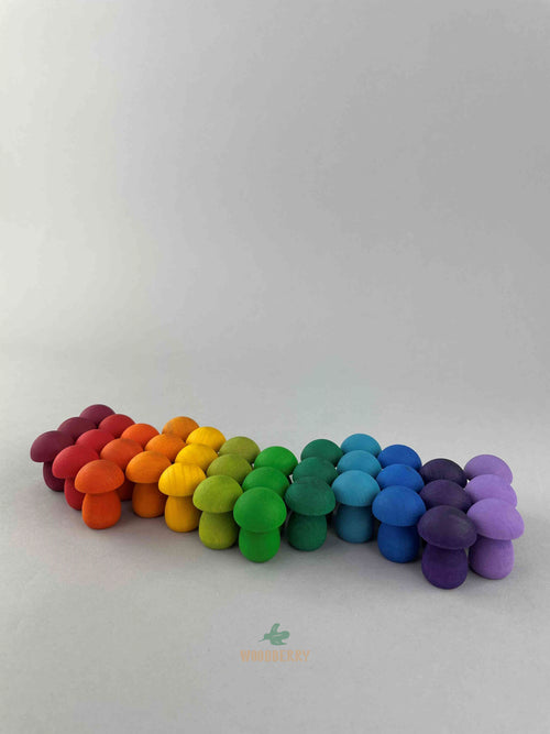 Loose Parts - Mandala Series - Rainbow Mushrooms 36pcs