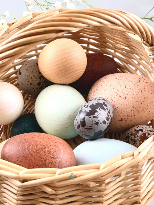 12 Wooden Eggs
