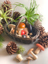 Moon picnic wooden toy mushroom in a rattan basket DARK. displayed with pinecones and plants