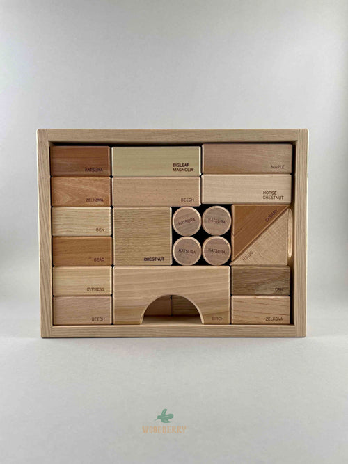 Wooden Blocks in a Box