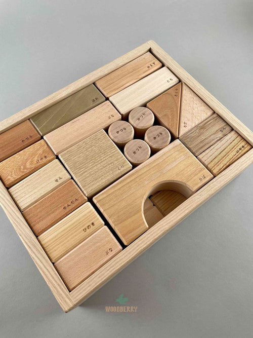 Oak Village wooden blocks in a box. From Japan. with Japanese and english engraved wood species on each block.